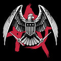 Punk Eagle Tee Black Design