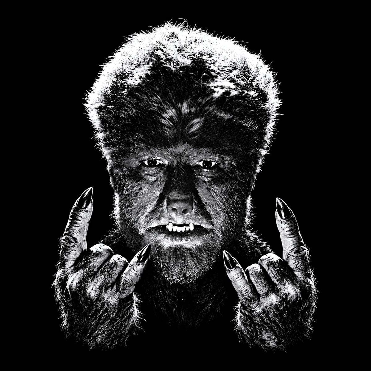 Wolfman Rocks Tee Black Design